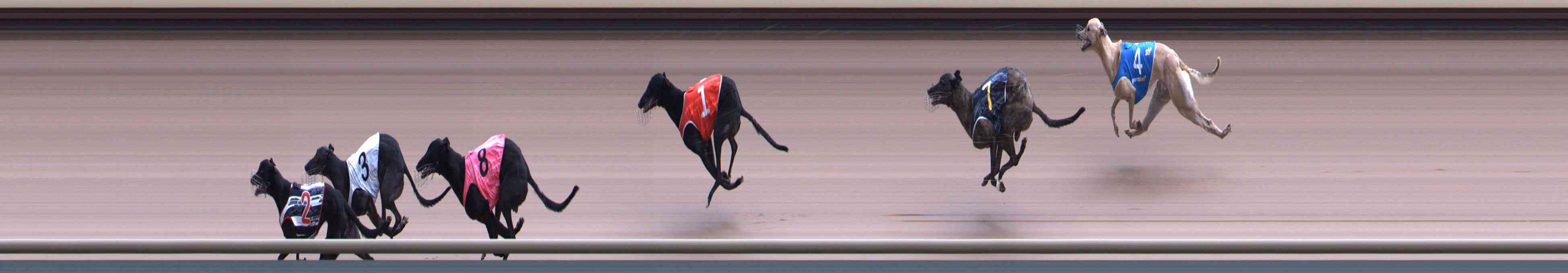 Race result finish photo